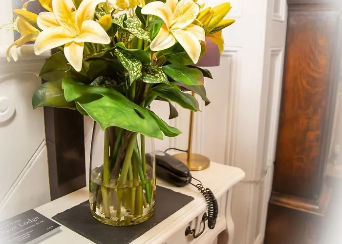 The Ibrox Casa de hóspedes Bristol