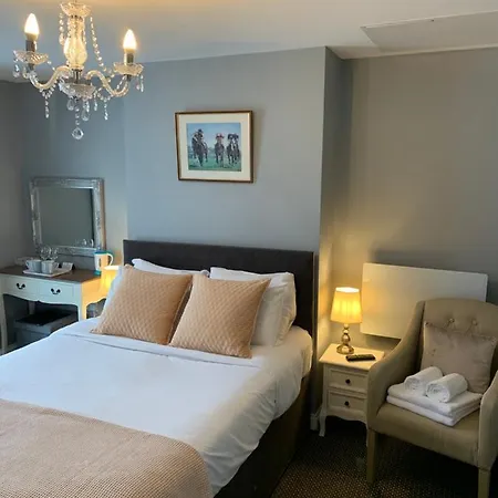 בית הארחה The Ibrox בריסטול